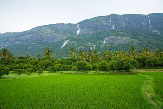 Scenic Kollengode Village with Nelliyampathy Mountains and Seetharkundu Waterfalls