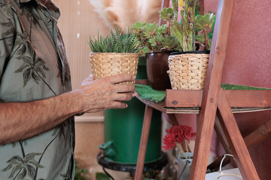 Senior man caring for potted plants on wooden shelves