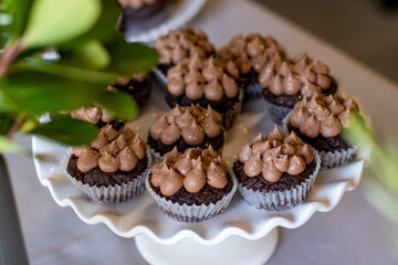 Chocolate cupcakes on stand