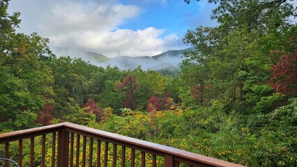 Fall colorful foliage in mountain landscape