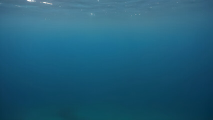 underwater view of a reef in the sea