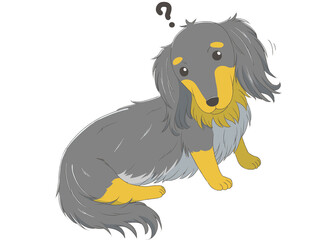 ミニチュアダックス9