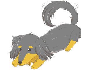 ミニチュアダックス10