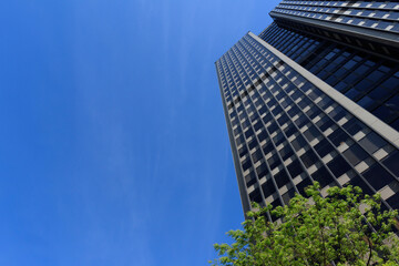 Upward view of a corner of a high-rise office bulding with blue cloudless sky in the background, green tree at the bottom.