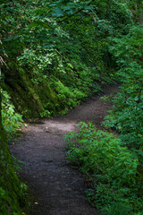 The Wartburg is a castle near Eisenach, in the northwestern Thuringian Forest in Thuringia. Its name is probably derived from Warte, meaning watchman's castle. The castle hill is 411 m above sea level