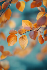 Autumn wallpaper background