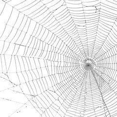 intricate spider web in halftone, isolated on clear white background