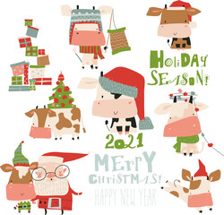 Vector set of bulls in costume and hat in different poses