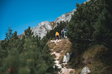 Wanderer in den Alpen