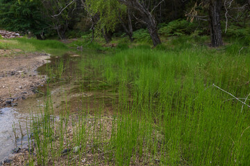 Maries freshwater lake on the island of Thassos Greece