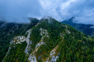 Aerial top view beautiful landscape mountains white rock with fog, green forest and trees in rural Altai, drone photo