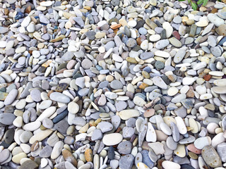 pebbles on the beach