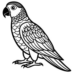 Hand drawn of Cockatoo parrot in zentangle style for Adult coloring book page, shirt design effect, logo, tattoo and decoration.Vector illustration.