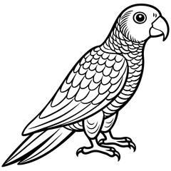 Hand drawn of Cockatoo parrot in zentangle style for Adult coloring book page, shirt design effect, logo, tattoo and decoration.Vector illustration.