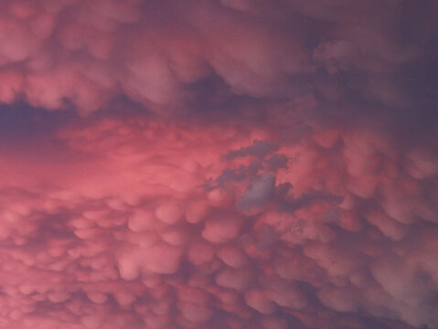 Mammatus clouds at Sunset in a dramatic pink and blue sky