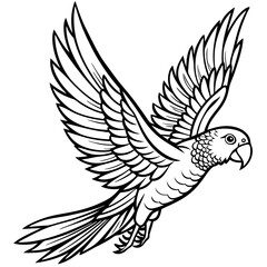 Hand drawn of Cockatoo in zentangle style for Adult coloring book page, shirt design effect, logo, tattoo and decoration.Vector illustration.