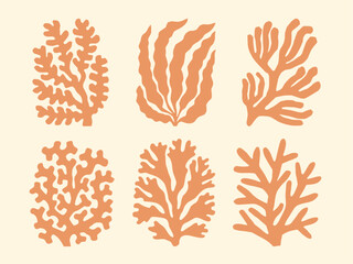 Corals and seaweed hand drawn silhouette illustrations. Peach orange seaweed, corals nautical collage design elements.
