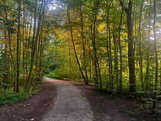 Fototapeta premium Amsterdam, the capital of Netherlands, is known for its artistic heritage, elaborate canal system and narrow houses!!