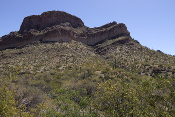 Desert landscape at Organ Pipe Cactus National Monument, Arizona