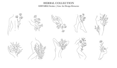 Set of Elegant Female Body line art decorated with florals, Editable lines, medicine flowers and herbal cosmetics