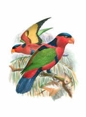 Parrot illustration. Vintage-inspired bird art. Digital watercolor painting on a white background.