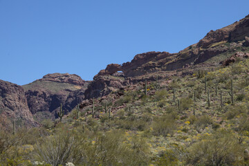 Natural arch and desert landscape at Organ Pipe Cactus National Monument, Arizona