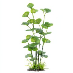 Fototapeta premium Stunning aquascaping decoration with vibrant green plants enhancing aquarium beauty