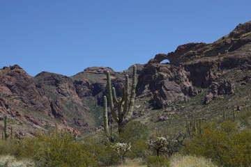Natural arch and desert landscape at Organ Pipe Cactus National Monument, Arizona