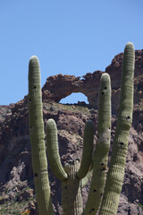 Natural arch and desert landscape at Organ Pipe Cactus National Monument, Arizona