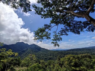 Obraz premium View of Parque Nacional La Cangreja, San José, Costa Rica