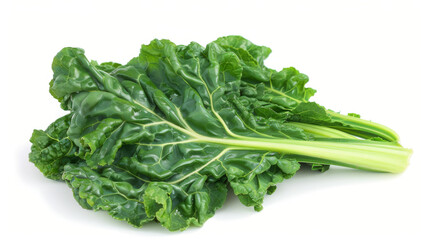 A whole swiss chard isolated on white