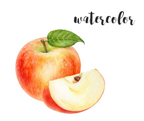 A beautiful Fresh Red Apple Watercolor Illustration showcasing a sliced apple piece