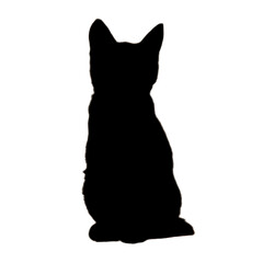 Cat Illustration | Cat Drawing | Cat Outline