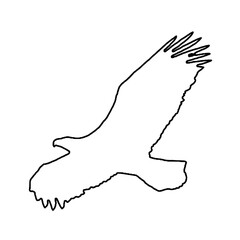 Eagle Drawing | Eagle Outline | Eagle Clipart