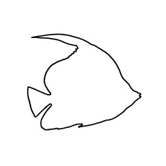 Fish Illustration | Fish Drawing | Fish Outline