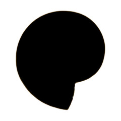 Seashell | Shell Illustration | Shell Outline