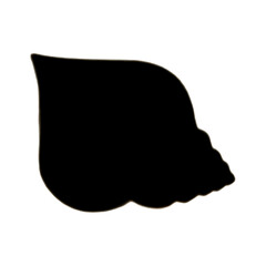 Seashell | Shell Illustration | Shell Outline