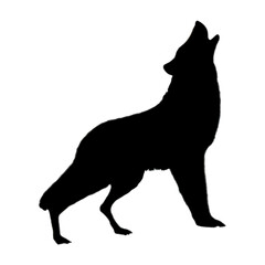 Wolf Illustration | Wolf Drawing | Wolf Clip Art 