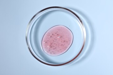 Petri dish with sample on light blue background, top view