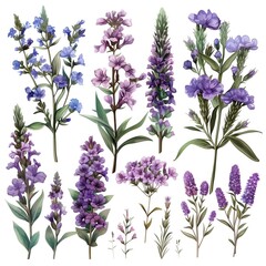 Fototapeta premium Vibrant Flower Artwork Set, Scrapbooking Art Concept, Gardening Brand Logo, Floral Sticker Sheet, Isolated Floral Clipart Design, Natural Beauty Plant Collection, White Background Easy Custom Editing