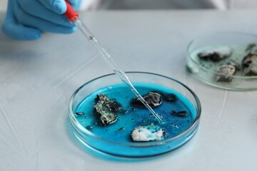 Laboratory worker dripping sample from pipette into petri dish at light table, closeup
