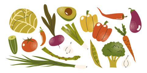 Vegetable set: cabbage, tomato, avocado, rs, celery, carrots, pepper. Vegetarian farm products from the garden hand-drawn in cartoon doodle style