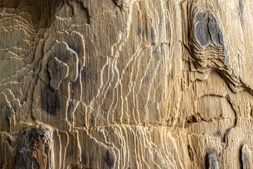 Old stone background for design