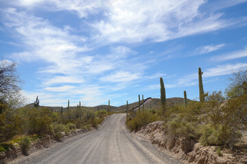 United States Mexican border at Organ Pipe Cactus National Monument, Arizona