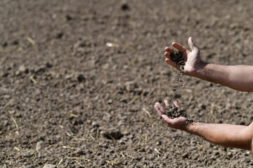 Farmer holding a fertile soil in hands. Agriculture, agribusiness. Gardener holds fertilized soil. Agriculture concept. Gardening season. Soil field.
