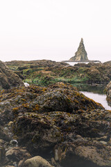 Tidal pools of the Olympic National Park, Pacific Ocean, coast line, Dramatic Rocky Coastline