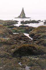 Tidal pools of the Olympic National Park, Pacific Ocean, coast line, Dramatic Rocky Coastline