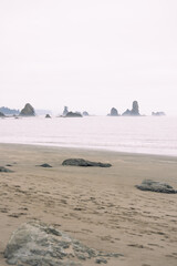 Beaches of the Olympic National Park, Pacific Ocean, coast line, Dramatic Rocky Coastline