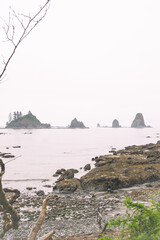 Beaches of the Olympic National Park, Pacific Ocean, coast line, Dramatic Rocky Coastline