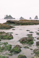 Tidal pools of the Olympic National Park, Pacific Ocean, coast line, Dramatic Rocky Coastline